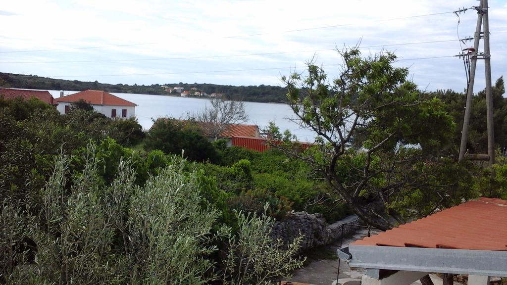 Ante Carov Apartment Verunic Bagian luar foto